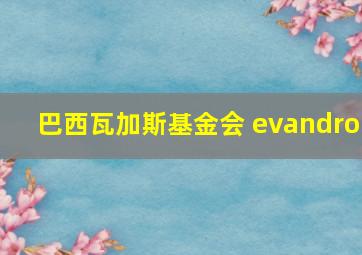 巴西瓦加斯基金会 evandro